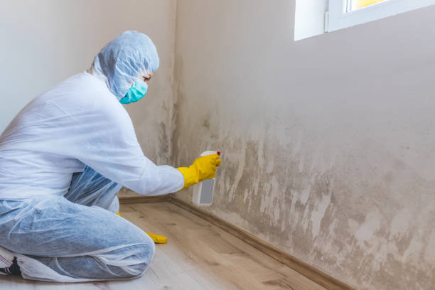 Black mold inspection in Troutdale