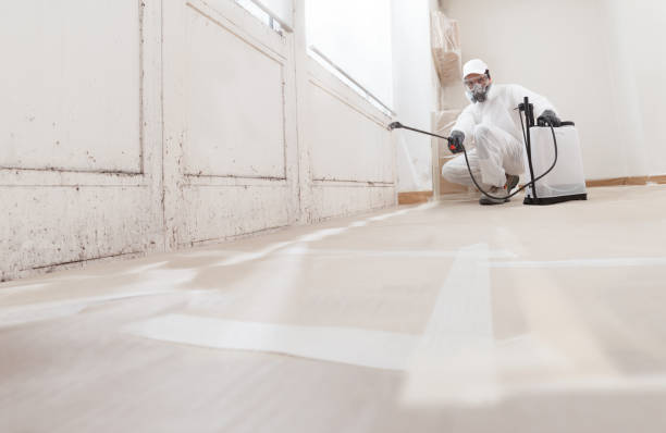 Black mold remediation team in Troutdale